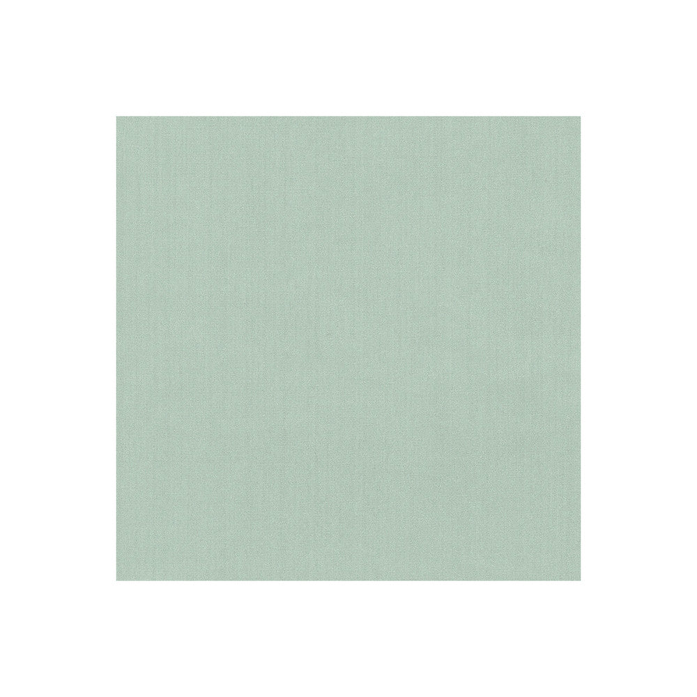 35916-113 by Kravet Basics Fabric POLYESTER FR - 100% India HEAVY Horizontal: 0 and Vertical: 0 54 - Fabric Carolina -