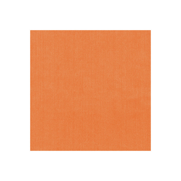 35916-12 by Kravet Basics Fabric - POLYESTER FR - 100% India HEAVY Horizontal: 0 and Vertical: 0 54 - Fabric Carolina -
