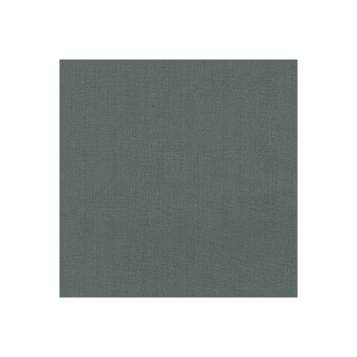 Kravet Basics 35916-21 by Kravet Basics Fabric Kravet Basics Fabric Kravet Basics 35916-21Fabric POLYESTER FR - 100% India </p><p>Repeat: H: 0, V: 0 54 - Fabric Carolina -