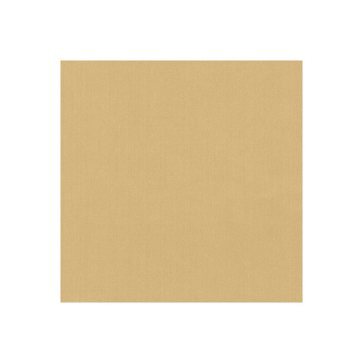 35916-44 by Kravet Basics Fabric - POLYESTER FR - 100% India HEAVY Horizontal: 0 and Vertical: 0 54 - Fabric Carolina -