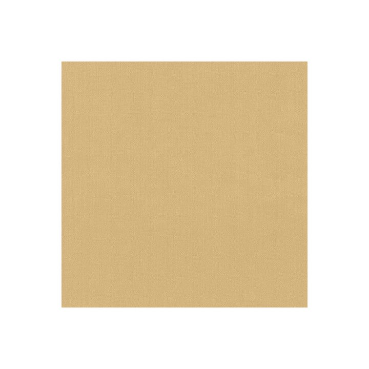 35916-44 by Kravet Basics Designer Fabric POLYESTER FR - 100% India HEAVY Horizontal: 0 and Vertical: 0 54 - Swanky Fabrics -