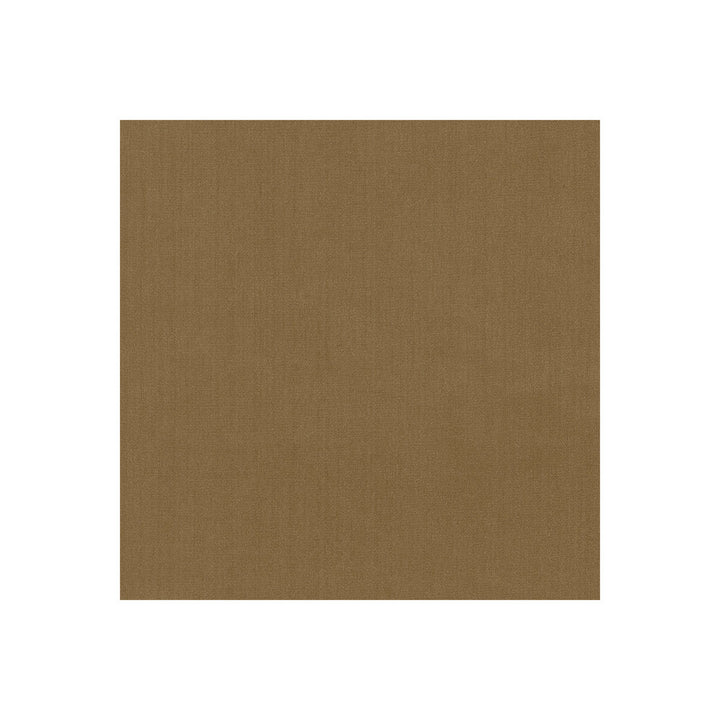 35916-66 by Kravet Basics Fabric POLYESTER FR - 100% India HEAVY Horizontal: 0 and Vertical: 0 54 - Fabric Carolina -