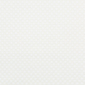 Kravet Smart 35935-101 by Kravet Smart Fabric