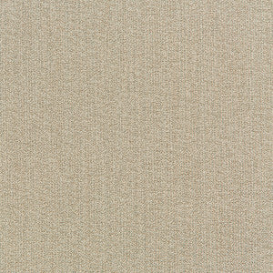 Kravet Smart 35942-111 by Kravet Smart Fabric