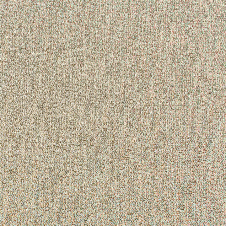 35942-111 by Kravet Smart Fabric PERFORMANCE KRAVETARMOR POLYESTER - 62%;VISCOSE - 38% China HEAVY Horizontal: 0 and Vertical: 0 56 - Fabric Carolina -