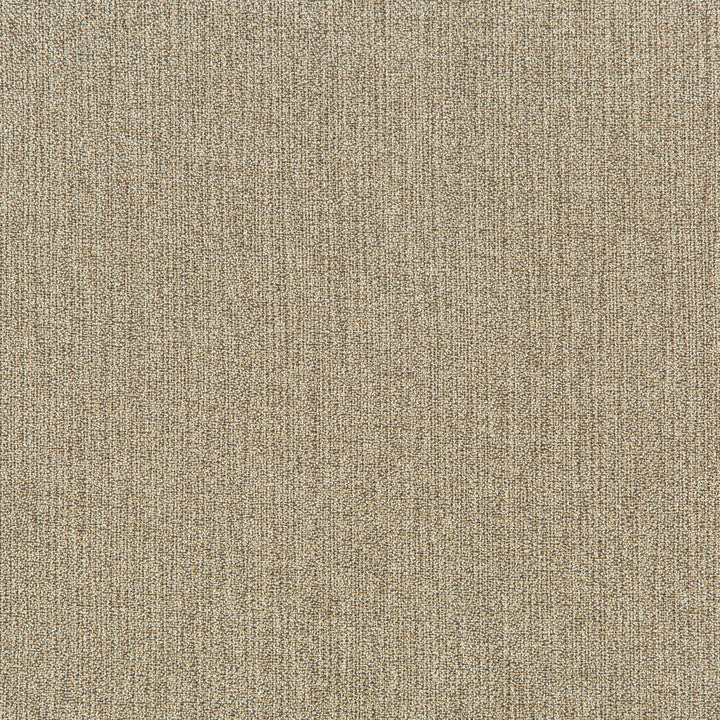 35942-16 by Kravet Smart Fabric PERFORMANCE KRAVETARMOR POLYESTER - 62%;VISCOSE - 38% China HEAVY Horizontal: 0 and Vertical: 0 56 - Fabric Carolina -