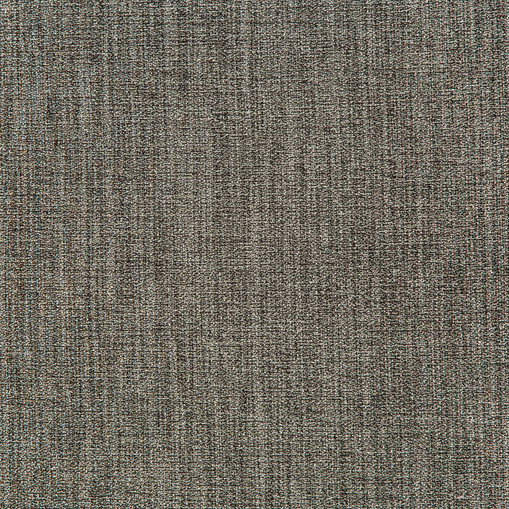 35942-21 by Kravet Smart Fabric PERFORMANCE KRAVETARMOR POLYESTER - 62%;VISCOSE - 38% China HEAVY Horizontal: 0 and Vertical: 0 56 - Fabric Carolina -