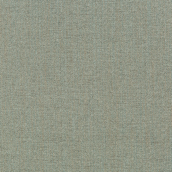 35942-23 by Kravet Smart Fabric PERFORMANCE KRAVETARMOR POLYESTER - 62%;VISCOSE - 38% China HEAVY Horizontal: 0 and Vertical: 0 56 - Fabric Carolina -