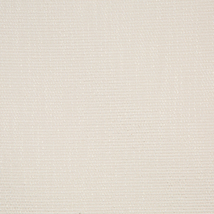 35943-101 by Kravet Smart Fabric PERFORMANCE KRAVETARMOR POLYESTER - 45%;VISCOSE - 37%;COTTON - 18% India HEAVY Horizontal: and Vertical: 54 - Fabric Carolina -