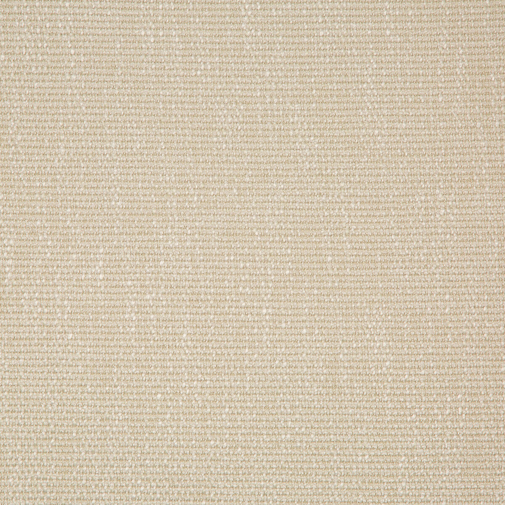 35943-116 by Kravet Smart Fabric PERFORMANCE KRAVETARMOR POLYESTER - 45%;VISCOSE - 37%;COTTON - 18% India HEAVY Horizontal: 0 and Vertical: 0 54 - Fabric Carolina -
