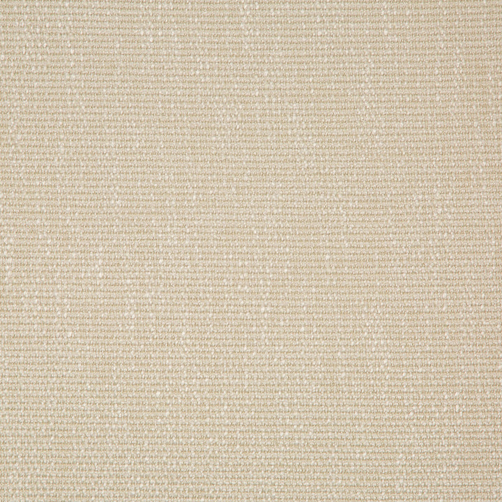 35943-116 by Kravet Smart Fabric PERFORMANCE KRAVETARMOR POLYESTER - 45%;VISCOSE - 37%;COTTON - 18% India HEAVY Horizontal: 0 and Vertical: 0 54 - Fabric Carolina -
