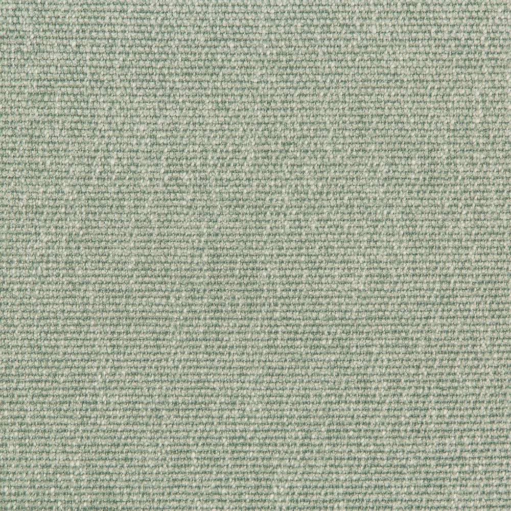 35943-135 by Kravet Smart Fabric PERFORMANCE KRAVETARMOR POLYESTER - 45%;VISCOSE - 37%;COTTON - 18% India HEAVY Horizontal: 0 and Vertical: 0 54 - Fabric Carolina -