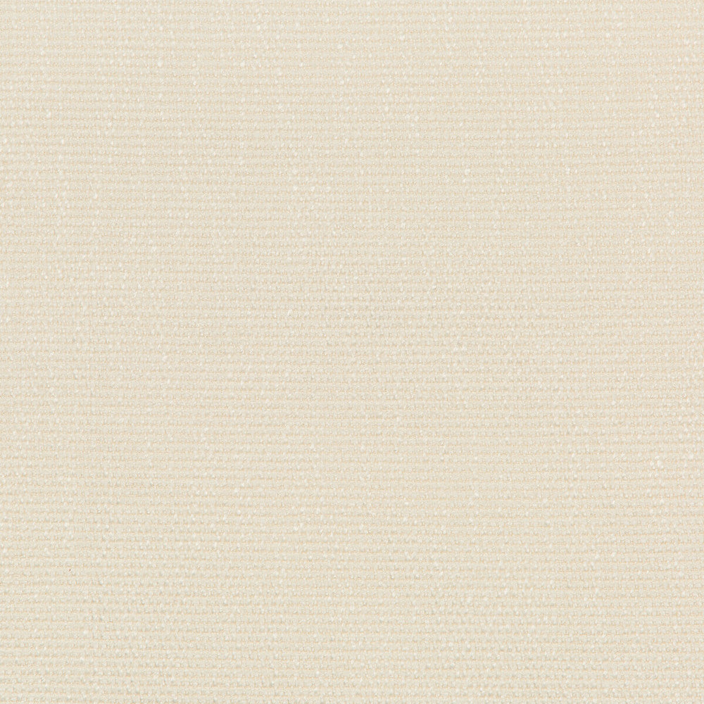 35943-1 by Kravet Smart Fabric PERFORMANCE KRAVETARMOR POLYESTER - 45%;VISCOSE - 37%;COTTON - 18% India HEAVY Horizontal: 0 and Vertical: 0 54 - Fabric Carolina -