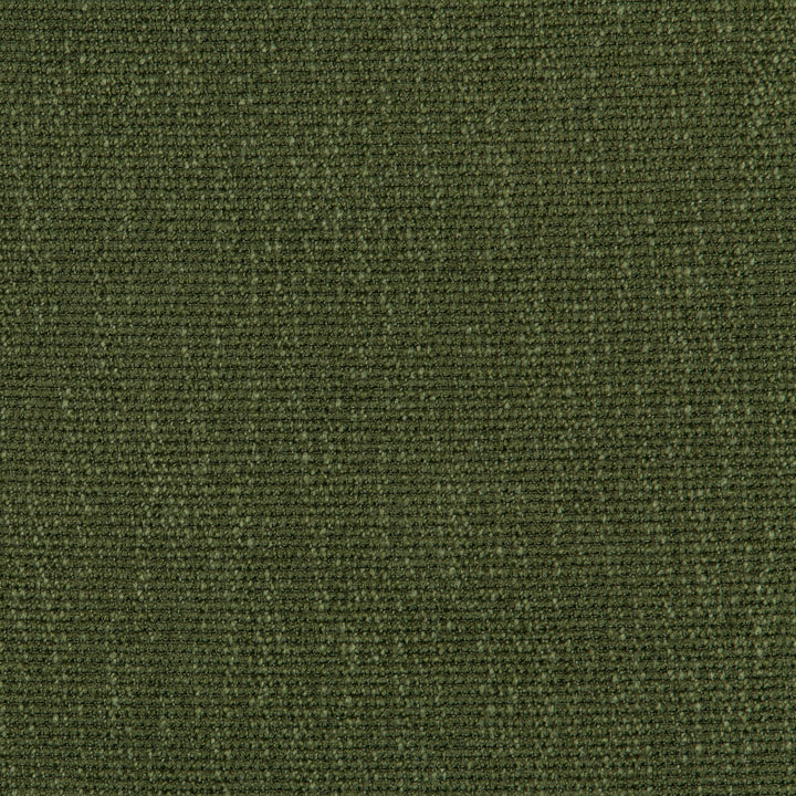 35943-30 by Kravet Smart Fabric PERFORMANCE KRAVETARMOR POLYESTER - 45%;VISCOSE - 37%;COTTON - 18% India HEAVY Horizontal: 0 and Vertical: 0 54 - Fabric Carolina -