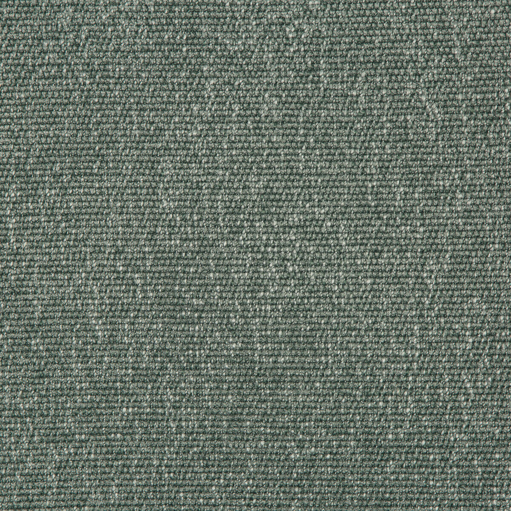 35943-35 by Kravet Smart Fabric PERFORMANCE KRAVETARMOR POLYESTER - 45%;VISCOSE - 37%;COTTON - 18% India HEAVY Horizontal: 0 and Vertical: 0 54 - Fabric Carolina -