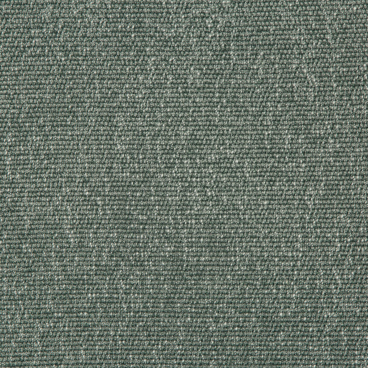 35943-35 by Kravet Smart Fabric PERFORMANCE KRAVETARMOR POLYESTER - 45%;VISCOSE - 37%;COTTON - 18% India HEAVY Horizontal: 0 and Vertical: 0 54 - Fabric Carolina -