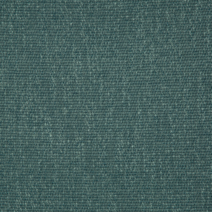 35943-505 by Kravet Smart Fabric PERFORMANCE KRAVETARMOR POLYESTER - 45%;VISCOSE - 37%;COTTON - 18% India HEAVY Horizontal: 0 and Vertical: 0 54 - Fabric Carolina -