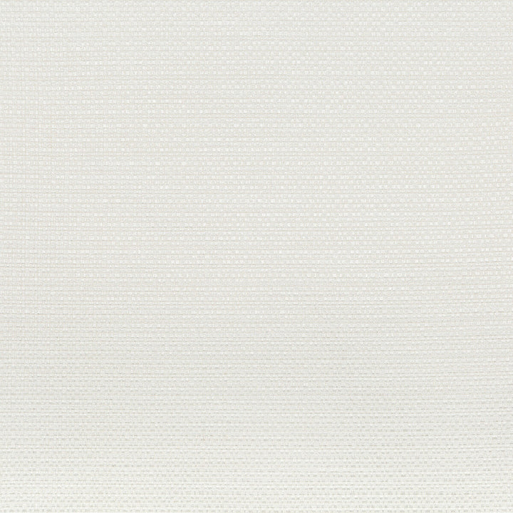 35948-101 by Kravet Smart Fabric PERFORMANCE KRAVETARMOR POLYESTER - 87%;VISCOSE - 13% India HEAVY Horizontal: and Vertical: 54 - Fabric Carolina -