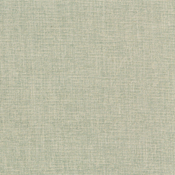 35949-13 by Kravet Smart Fabric PERFORMANCE KRAVETARMOR POLYESTER - 100% China HEAVY Horizontal: 0 and Vertical: 0 54 - Fabric Carolina -