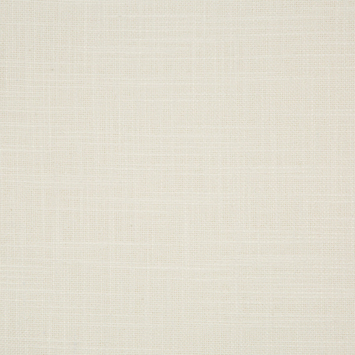 35955-101 by Kravet Smart Fabric PERFORMANCE KRAVETARMOR POLYESTER - 100% India HEAVY Horizontal: and Vertical: 54 - Fabric Carolina -