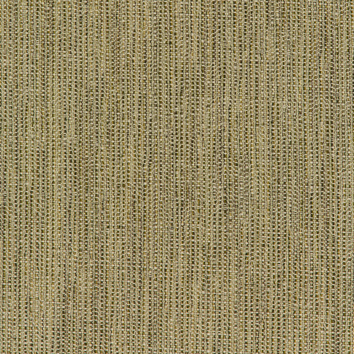 35965-316 by Kravet Smart Fabric PERFORMANCE CRYPTON HOME POLYESTER - 92%;RAYON - 7%;NYLON - 1% United States HEAVY Horizontal: and Vertical: 57.125 - Fabric Carolina -