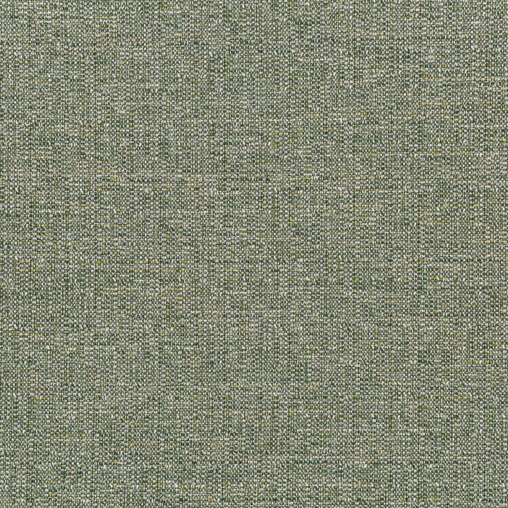 35970-3 by Kravet Smart Fabric PERFORMANCE KRAVETARMOR OLEFIN - 98%;POLYESTER - 2% United States HEAVY Horizontal: 1.906 and Vertical: 1.969 56 - Fabric Carolina -