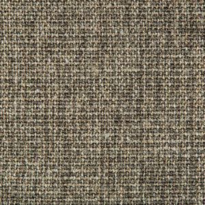 Cyncy Shale by Kravet Design Fabric