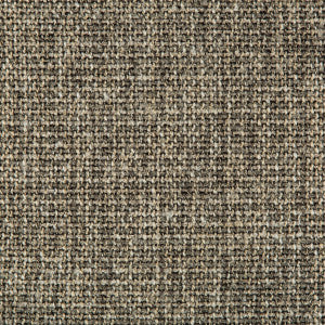 Cyncy Shale by Kravet Design Fabric