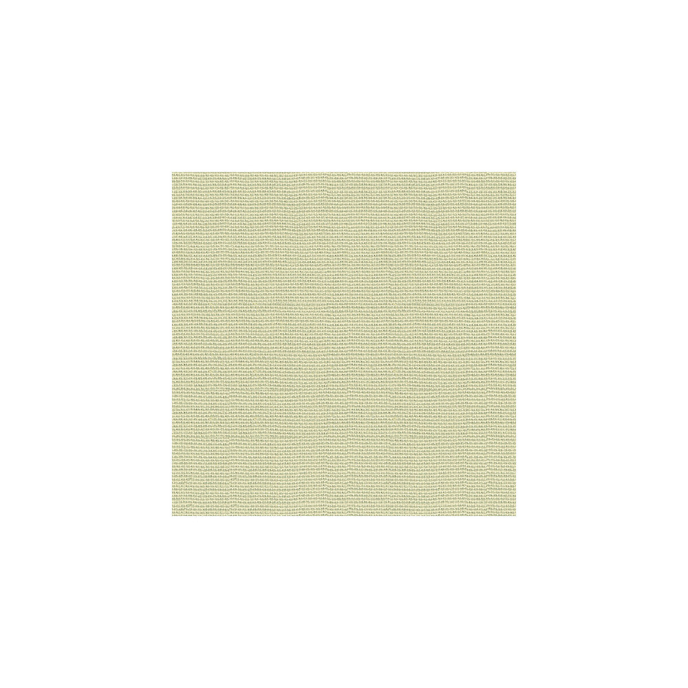 Crissie Linen by Kravet Design Designer Fabric BARRY LANTZ CANVAS TO CLOTH LINEN - 100% Brazil LIGHT Horizontal: 0 and Vertical: 0 54 - Swanky Fabrics -