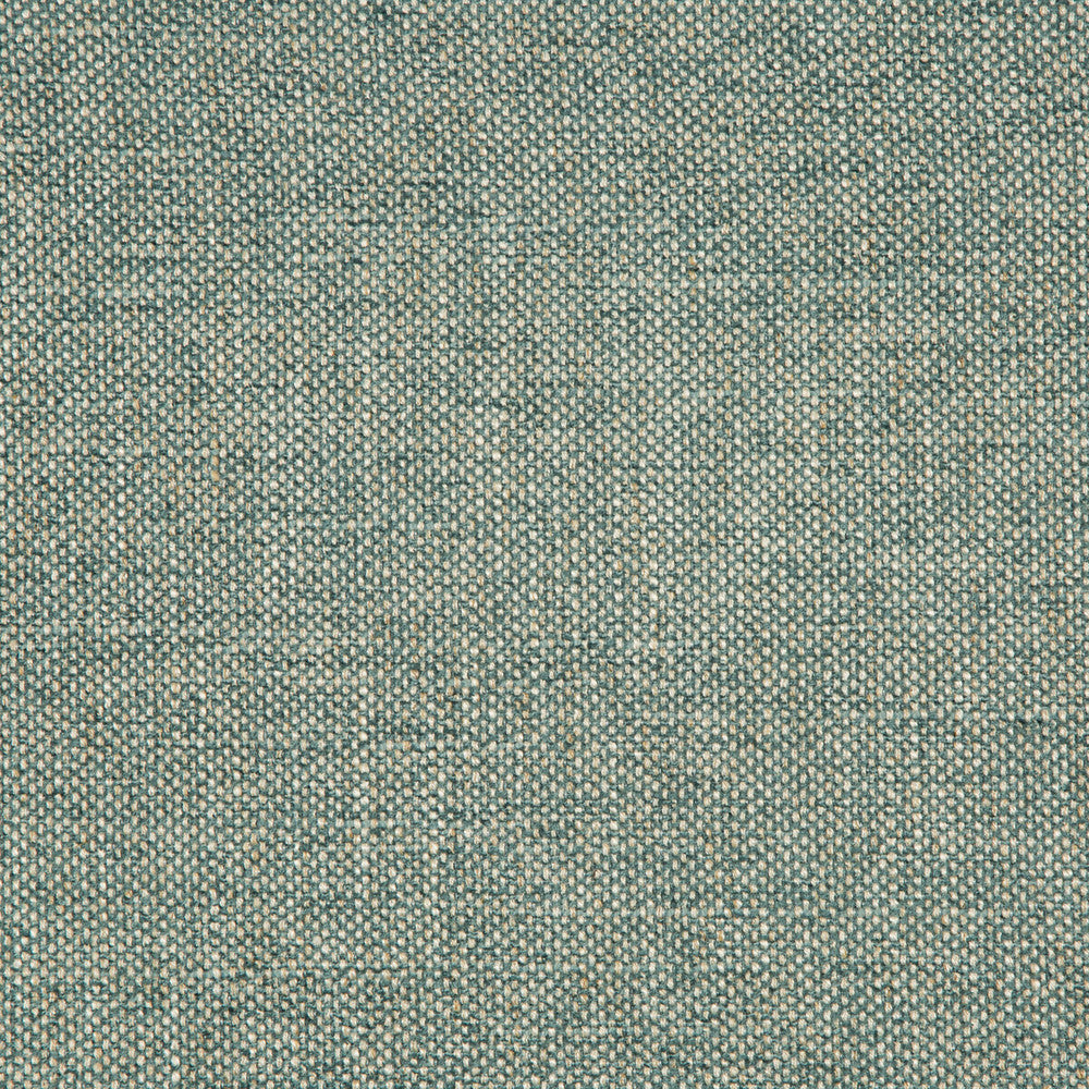 35989-135 by Kravet Smart Fabric PERFORMANCE CRYPTON HOME POLYESTER - 70%;VISCOSE - 25%;LINEN - 5% China HEAVY Horizontal: 0 and Vertical: 0 54 - Fabric Carolina -