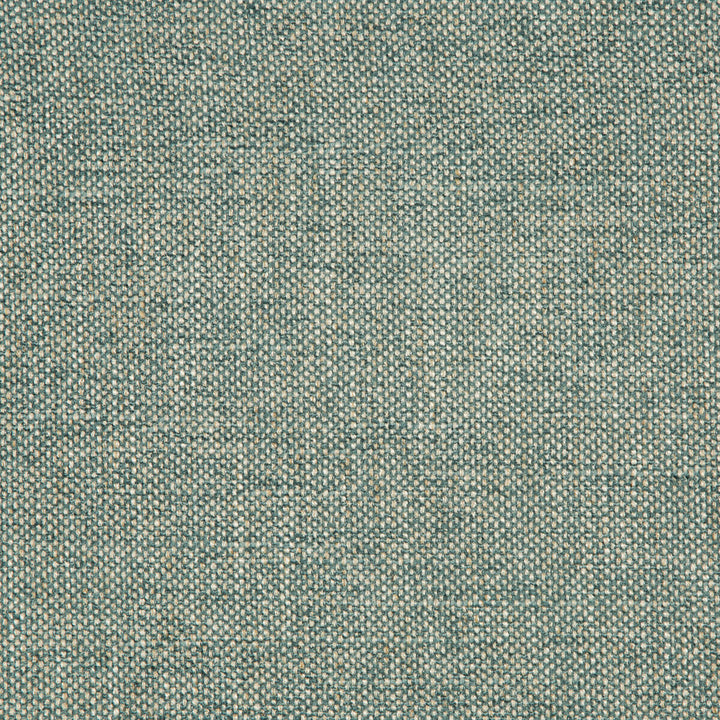 35989-135 by Kravet Smart Fabric PERFORMANCE CRYPTON HOME POLYESTER - 70%;VISCOSE - 25%;LINEN - 5% China HEAVY Horizontal: 0 and Vertical: 0 54 - Fabric Carolina -