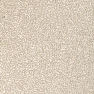 35991-16 by Kravet Fabric