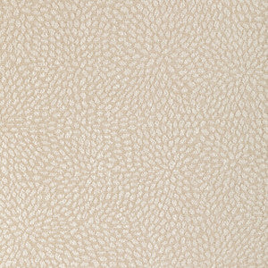 35991-16 by Kravet Fabric