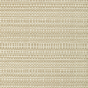 35993-16 by Kravet Fabric
