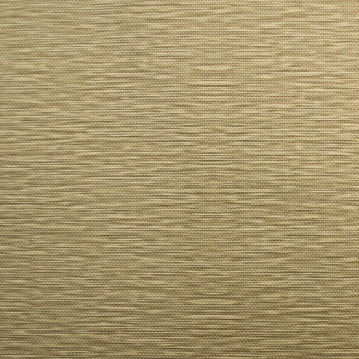 Pioneer - 35 by Europatex Fabric Pioneer 55% PVC, 40% Polyester, 5% Polyurethane China See Sample Horizontal: N/A and Vertical: N/A 55.00 inches  - Fabric Carolina -
