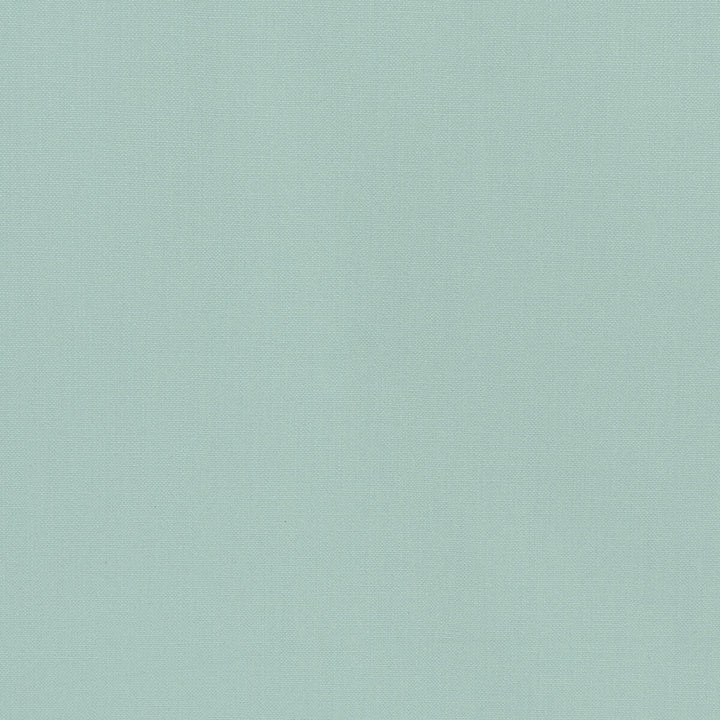 36055-135 by Kravet Basics Fabric L'INDIENNE COLLECTION COTTON - 100% India HEAVY Horizontal: and Vertical: 54 - Fabric Carolina -