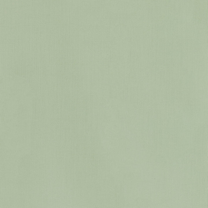 Kravet Basics 36055-30 by Kravet Basics Fabric Kravet Basics Fabric Kravet Basics 36055-30Fabric L'INDIENNE COLLECTION COTTON - 100% India </p><p>Repeat: H: , V: 54 - Fabric Carolina -