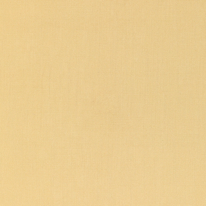 Kravet Basics 36055-40 by Kravet Basics Fabric Kravet Basics Fabric Kravet Basics 36055-40Fabric L'INDIENNE COLLECTION COTTON - 100% India </p><p>Repeat: H: , V: 54 - Fabric Carolina -