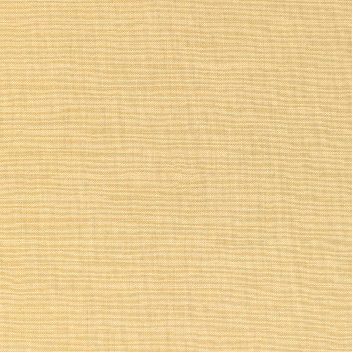 36055-40 by Kravet Basics Fabric L'INDIENNE COLLECTION COTTON - 100% India HEAVY Horizontal: and Vertical: 54 - Fabric Carolina -