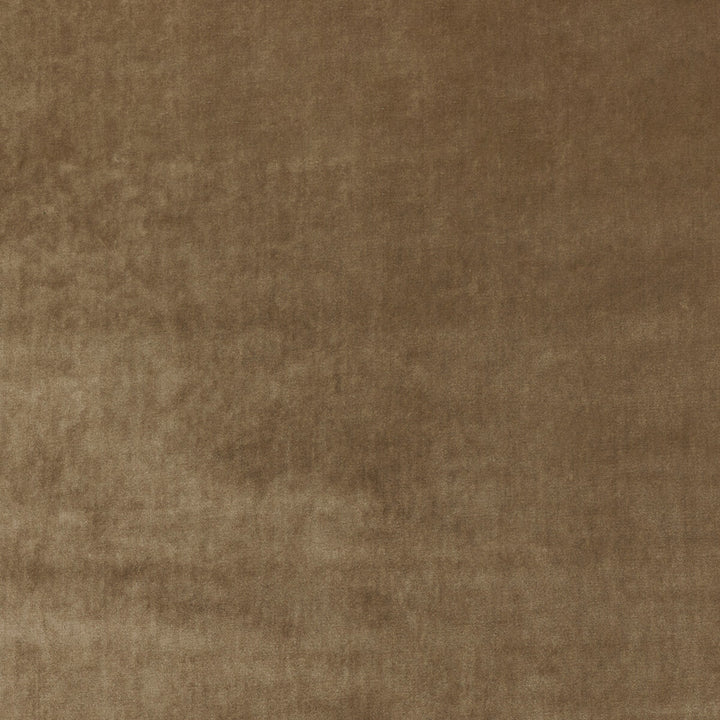 New Elegance Camel by Kravet Couture Fabric VISCOSE - 81%;COTTON - 12%;POLYESTER - 7% Italy HEAVY Horizontal: 0 and Vertical: 0 55.12 - Fabric Carolina -