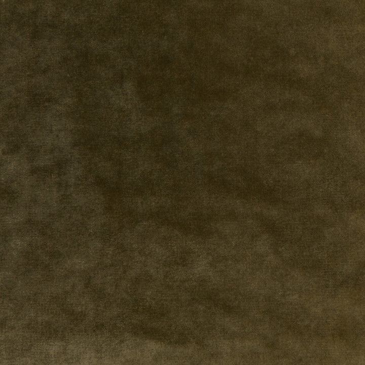 Regal Velvet Olive by Kravet Couture Designer Fabric VISCOSE - 72%;COTTON - 21%;POLYESTER - 7% Italy HEAVY Horizontal: 0 and Vertical: 0 55.12 - Swanky Fabrics -
