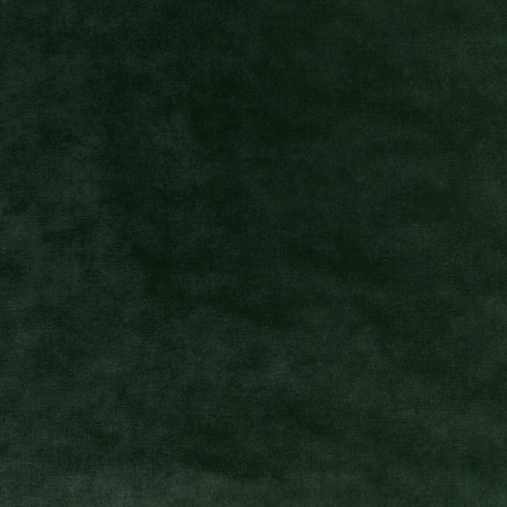 Regal Velvet Sage by Kravet Couture Fabric Kravet Couture Fabric Regal Velvet SageFabric VISCOSE - 72%;COTTON - 21%;POLYESTER - 7% Italy </p><p>Repeat: H: 0, V: 0 55.12 - Fabric Carolina -