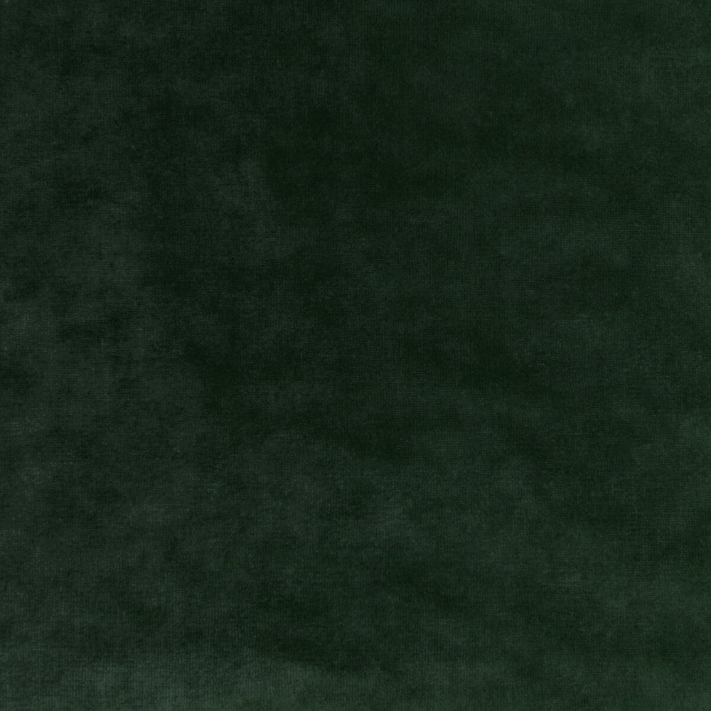 Regal Velvet Sage by Kravet Couture Fabric VISCOSE - 72%;COTTON - 21%;POLYESTER - 7% Italy HEAVY Horizontal: 0 and Vertical: 0 55.12 - Fabric Carolina -