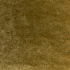 Regal Velvet Ochre by Kravet Couture Fabric