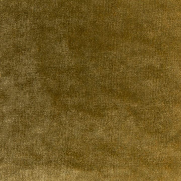 Regal Velvet Ochre by Kravet Couture Fabric VISCOSE - 72%;COTTON - 21%;POLYESTER - 7% Italy HEAVY Horizontal: 0 and Vertical: 0 55.12 - Fabric Carolina -