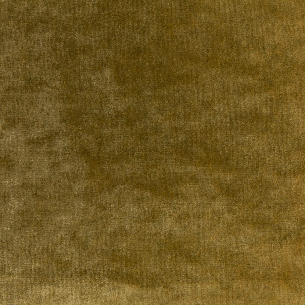Regal Velvet Ochre by Kravet Couture Fabric Kravet Couture Fabric Regal Velvet OchreFabric VISCOSE - 72%;COTTON - 21%;POLYESTER - 7% Italy </p><p>Repeat: H: 0, V: 0 55.12 - Fabric Carolina -
