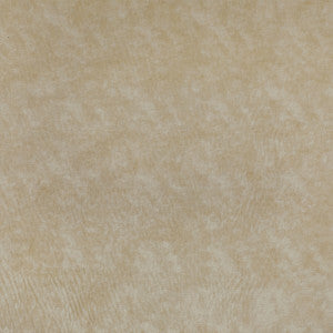 Triumphant Creme by Kravet Couture Fabric