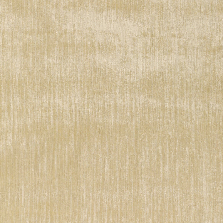 Majesty Velvet Cream by Kravet Couture Fabric Kravet Couture Fabric Majesty Velvet CreamFabric VISCOSE - 67%;COTTON - 33% Italy </p><p>Repeat: H: , V: 55.12 - Fabric Carolina -