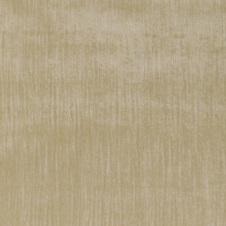 Majesty Velvet Stone by Kravet Couture Fabric Kravet Couture Fabric Majesty Velvet StoneFabric VISCOSE - 67%;COTTON - 33% Italy </p><p>Repeat: H: , V: 55.12 - Fabric Carolina -