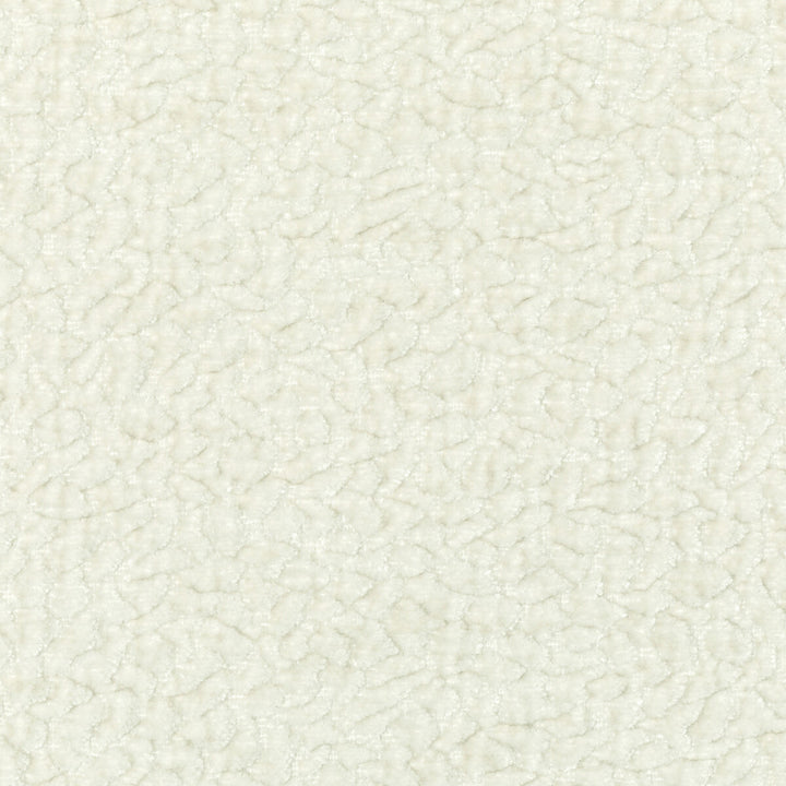 Barton Chenille Cloud by Kravet Smart Fabric POLYESTER - 100% India HEAVY Horizontal: 12 and Vertical: 4 54 - Fabric Carolina -